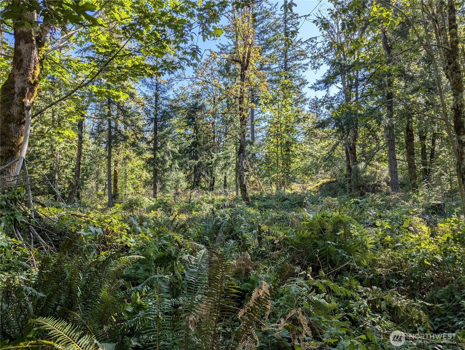 1110 350th Avenue SE, Snoqualmie, WA 98065