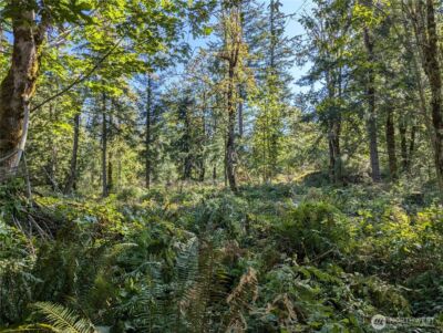 1110 350th Avenue SE, Snoqualmie, WA 98065 - Photo 8