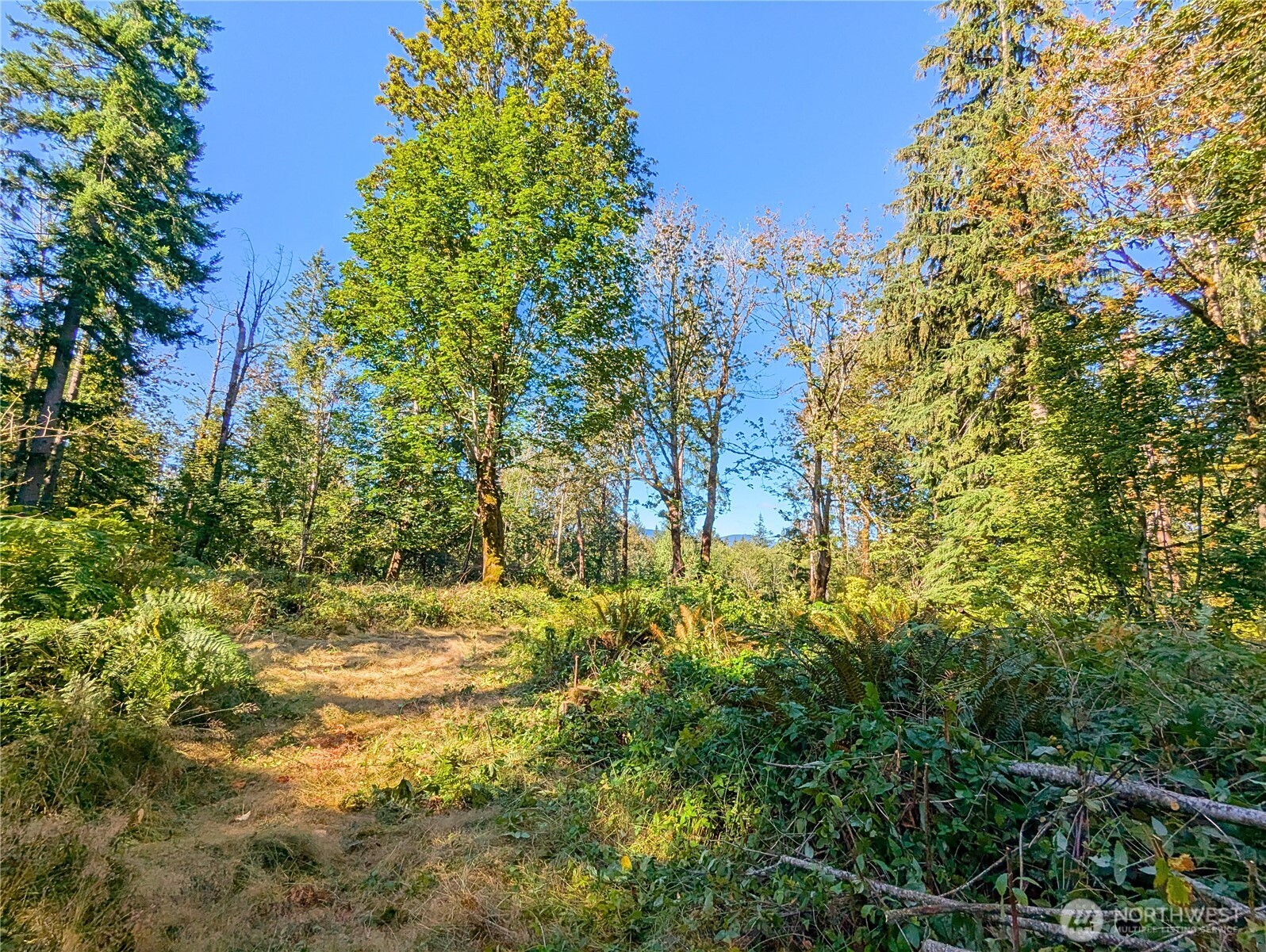 1110 350th Avenue SE, Snoqualmie, WA 98065