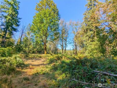 1110 350th Avenue SE, Snoqualmie, WA 98065 - Photo 9