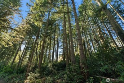 0 Lucille Parkway NW, Gig Harbor, WA 98335 - Photo 11