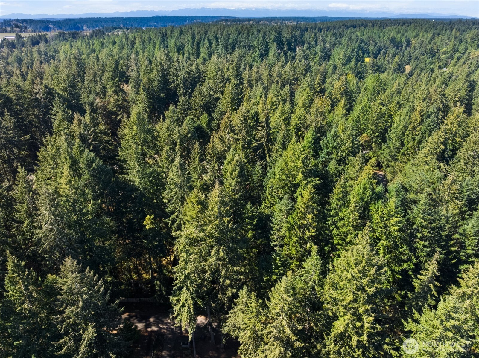 0 Lucille Parkway NW, Gig Harbor, WA 98335