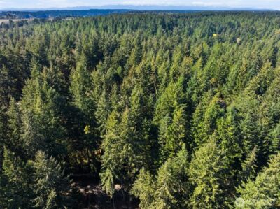 0 Lucille Parkway NW, Gig Harbor, WA 98335 - Photo 12