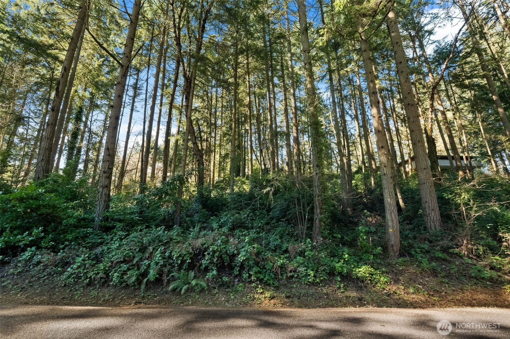 0 Lucille Parkway NW, Gig Harbor, WA 98335