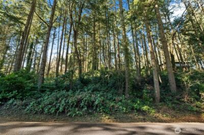 0 Lucille Parkway NW, Gig Harbor, WA 98335 - Photo 5