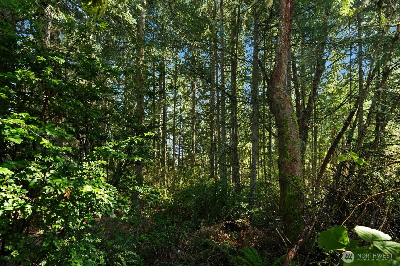 0 Lucille Parkway NW, Gig Harbor, WA 98335