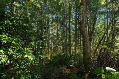 0 Lucille Parkway NW, Gig Harbor, WA 98335 - Photo 6