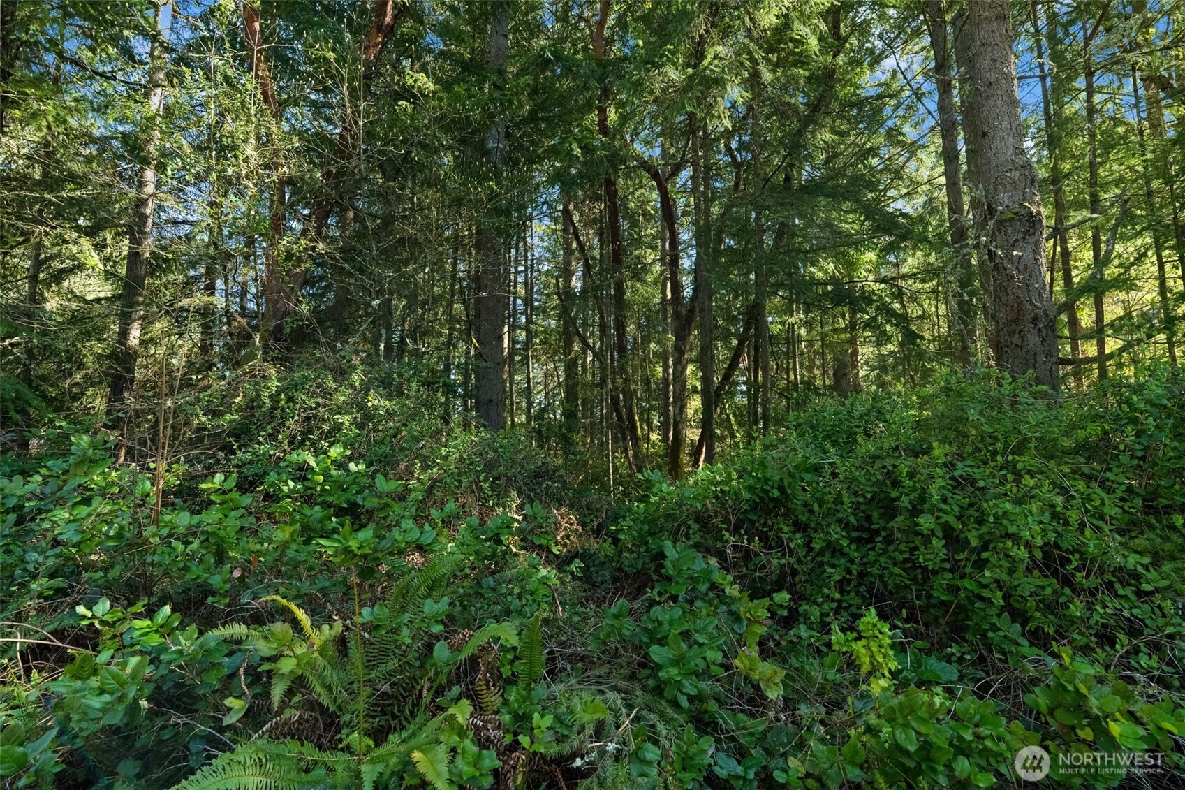 0 Lucille Parkway NW, Gig Harbor, WA 98335