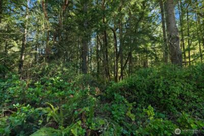 0 Lucille Parkway NW, Gig Harbor, WA 98335 - Photo 7