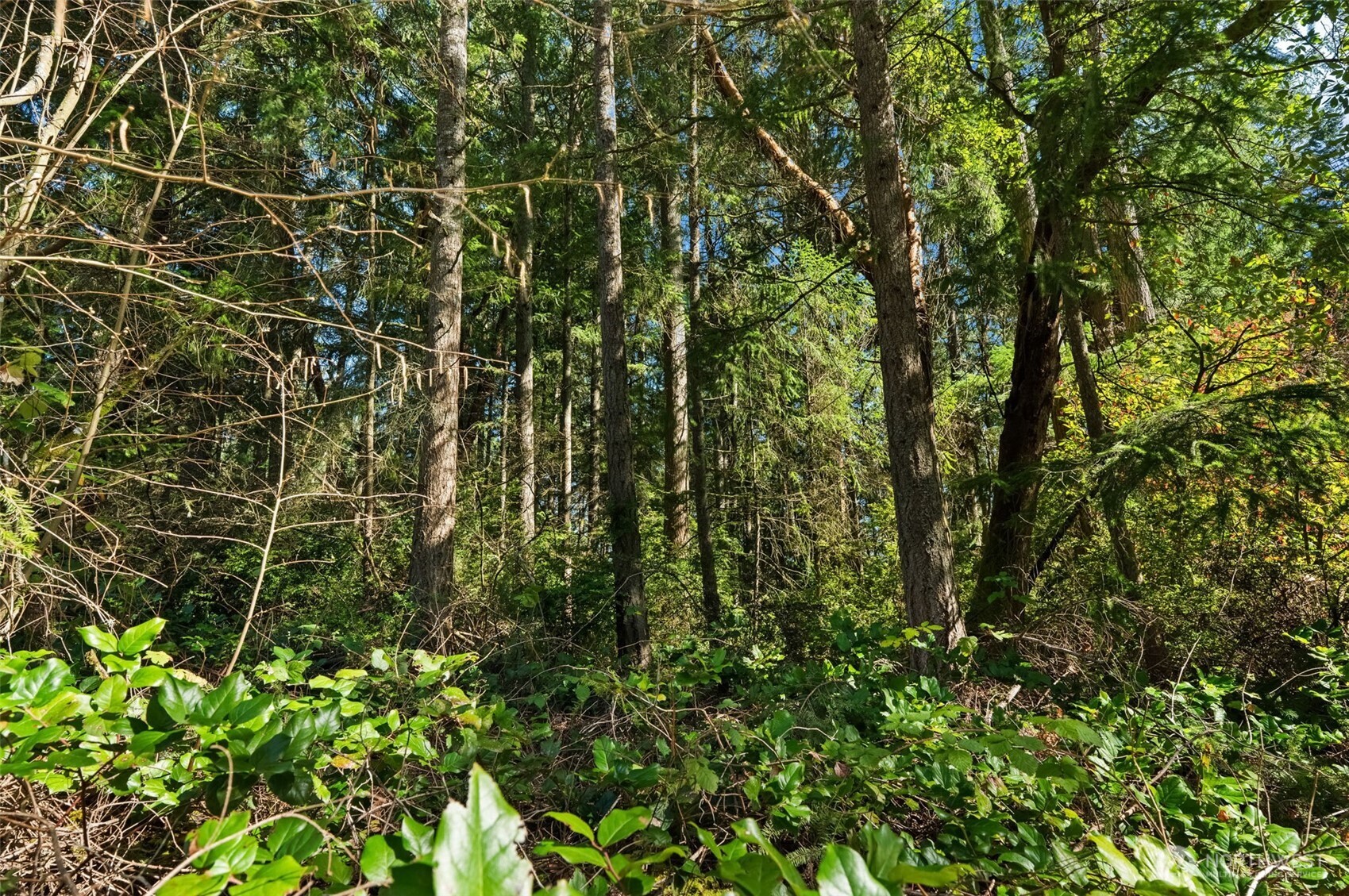 0 Lucille Parkway NW, Gig Harbor, WA 98335