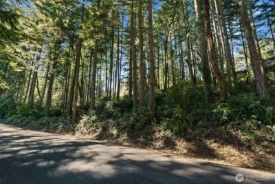 0 Lucille Parkway NW, Gig Harbor, WA 98335 - Photo 10