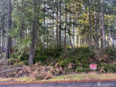 40 E Paint Brush Lane , Union, WA 98592 - Photo 1