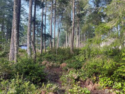 40 E Paint Brush Lane , Union, WA 98592 - Photo 2