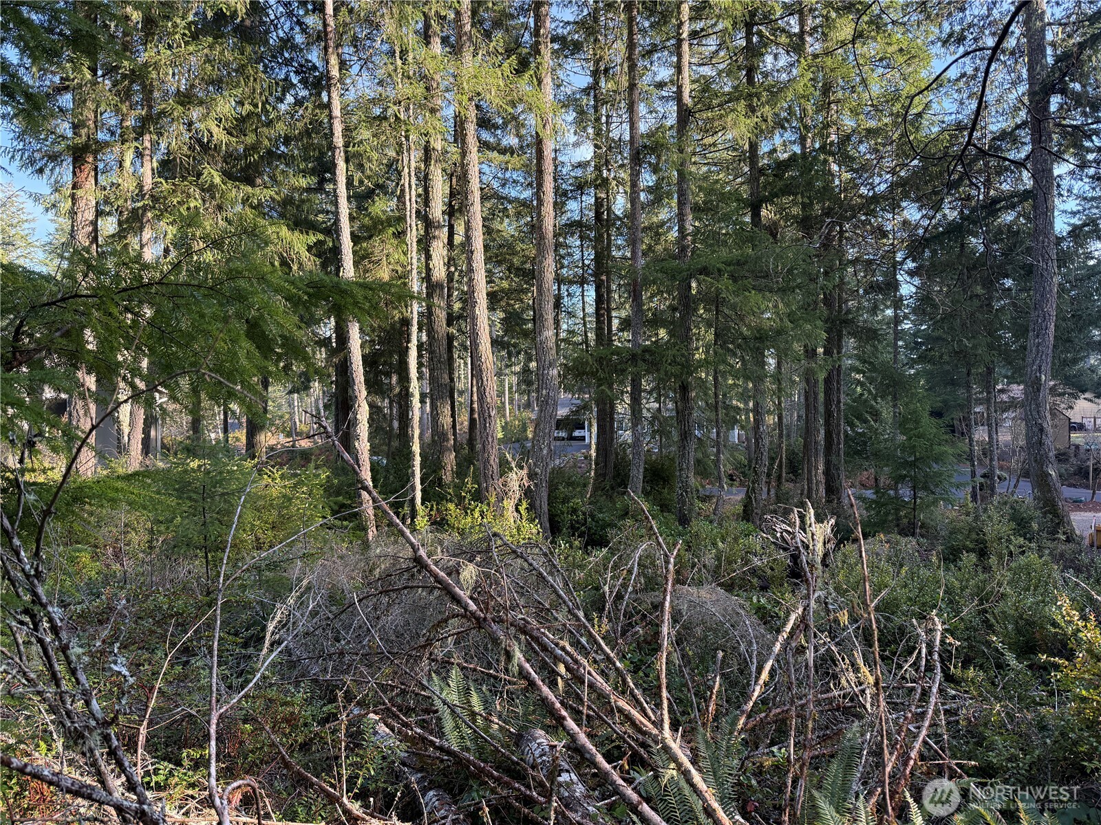 40 E Paint Brush Lane , Union, WA 98592