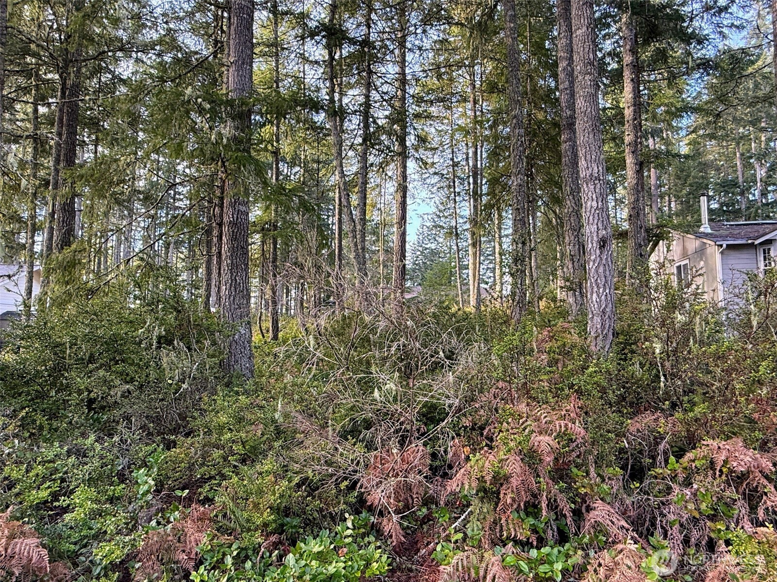 40 E Paint Brush Lane , Union, WA 98592