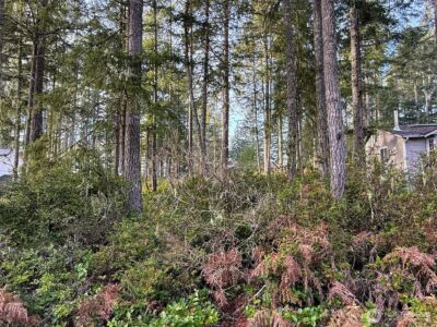 40 E Paint Brush Lane , Union, WA 98592 - Photo 4