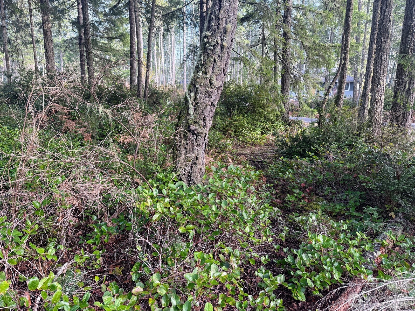 40 E Paint Brush Lane , Union, WA 98592