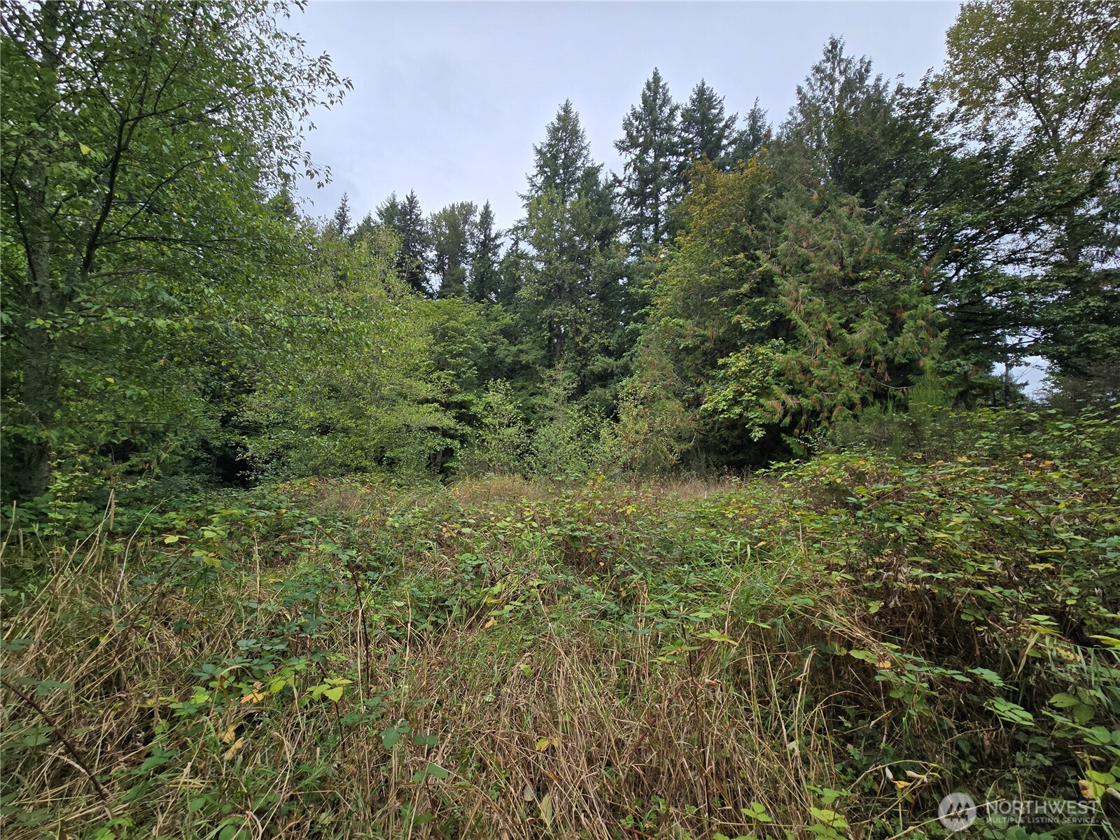 12628 208th Place NE, Woodinville, WA 98077