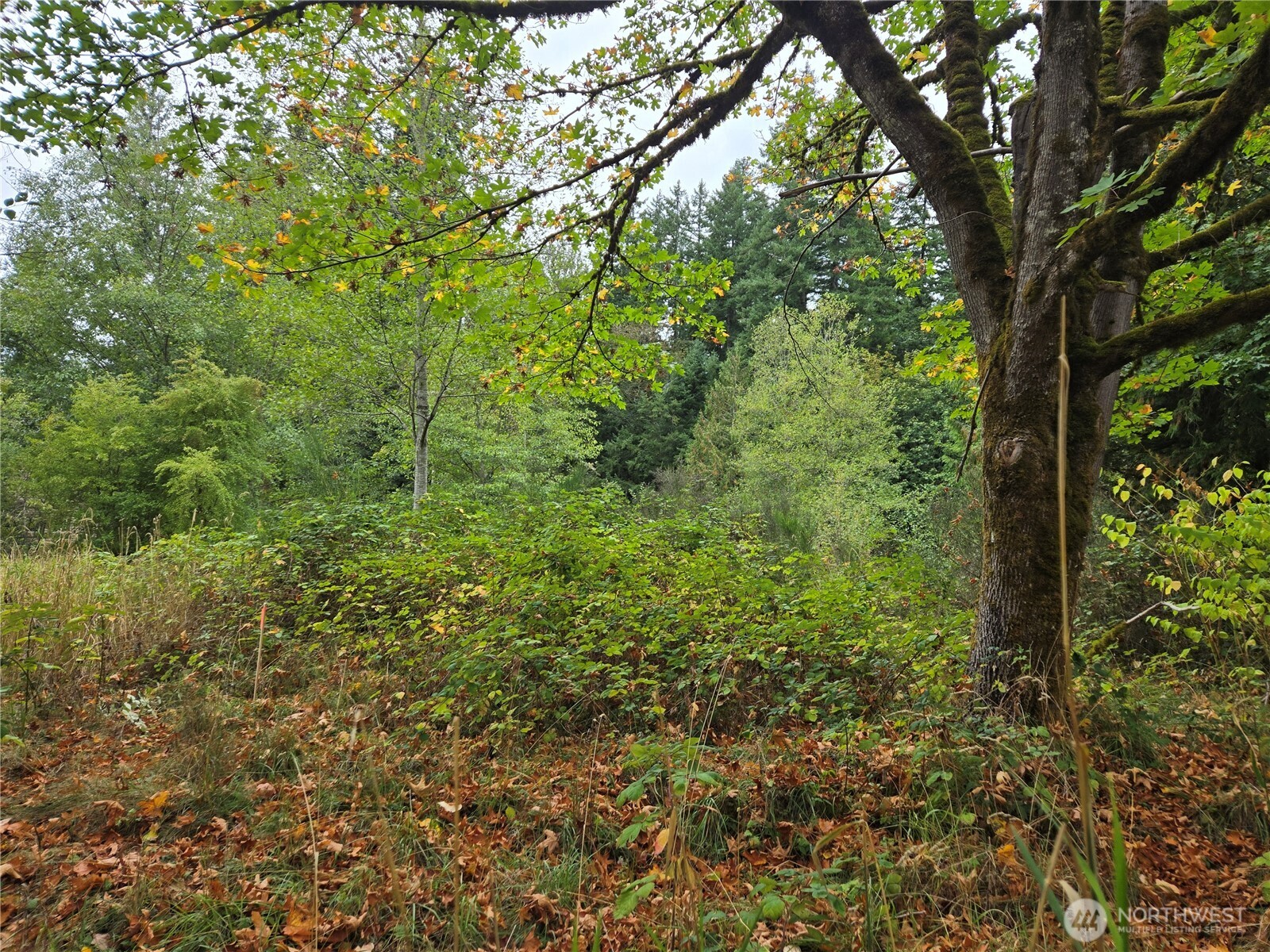 12628 208th Place NE, Woodinville, WA 98077