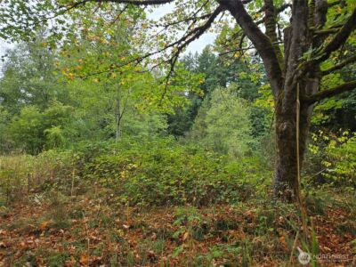 12628 208th Place NE, Woodinville, WA 98077 - Photo 12