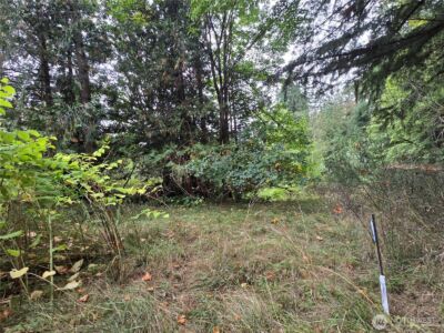 12628 208th Place NE, Woodinville, WA 98077 - Photo 19