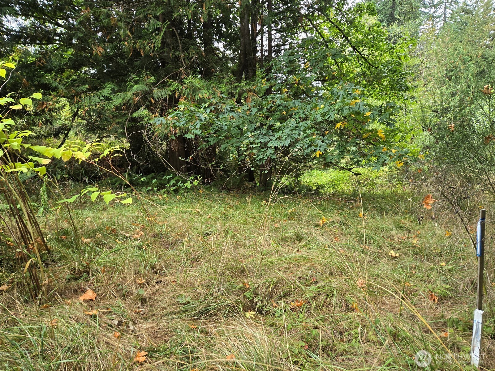 12628 208th Place NE, Woodinville, WA 98077