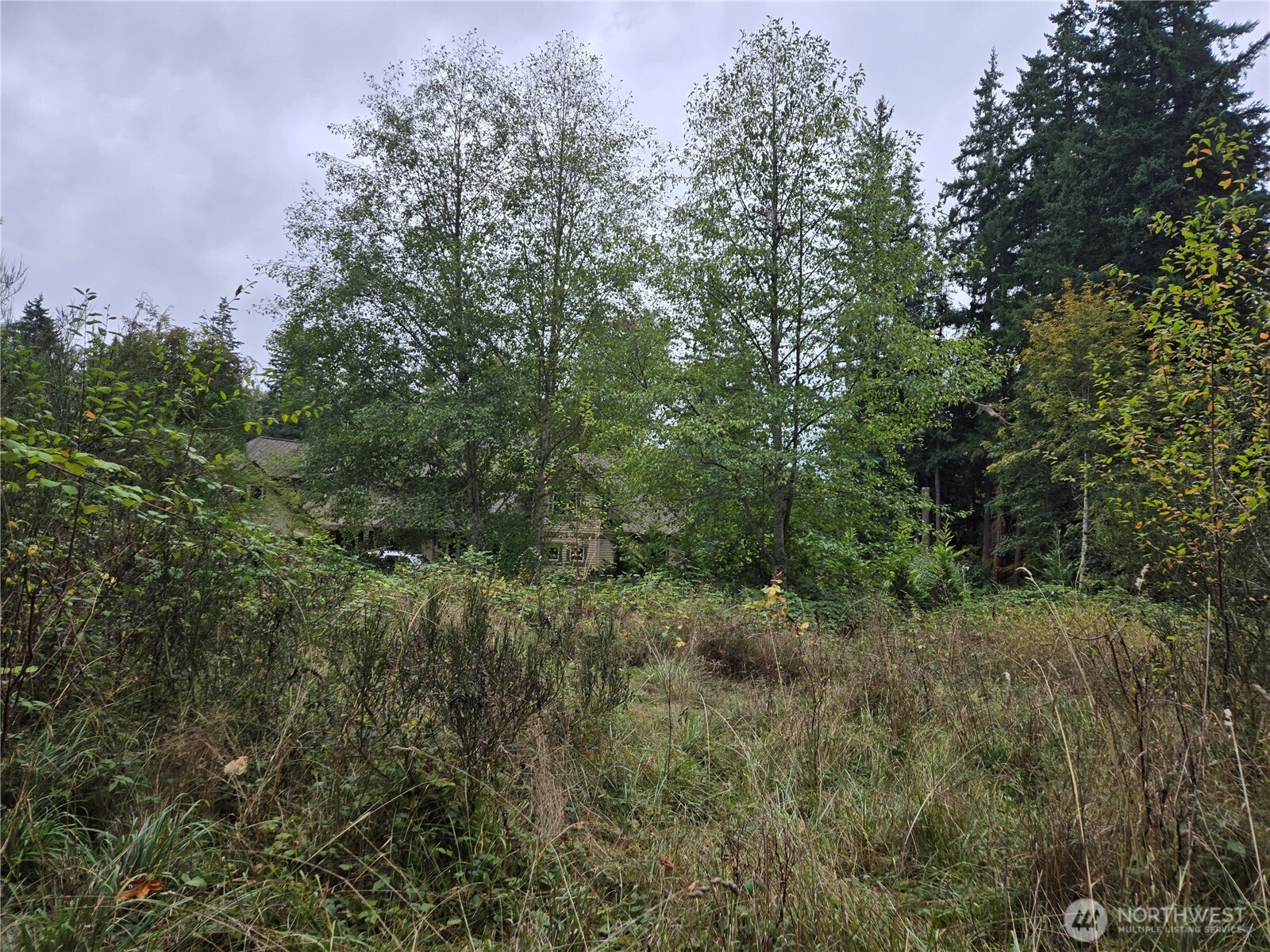 12628 208th Place NE, Woodinville, WA 98077
