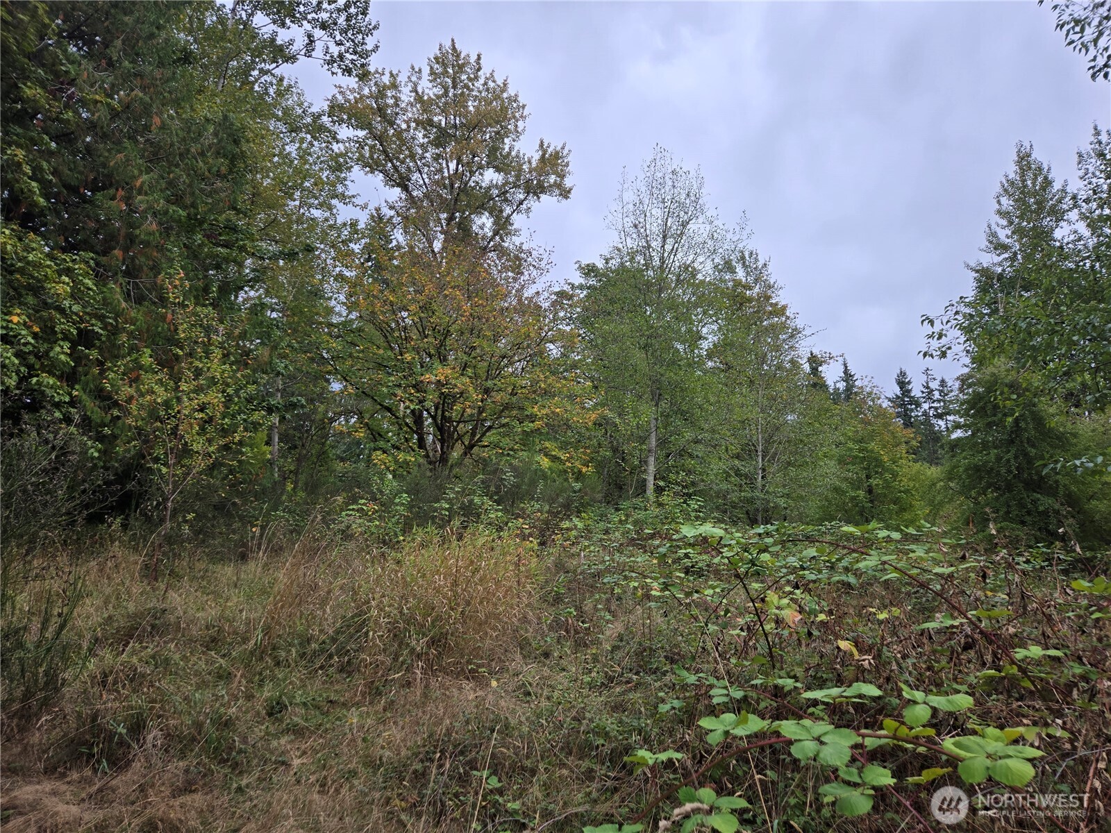 12628 208th Place NE, Woodinville, WA 98077
