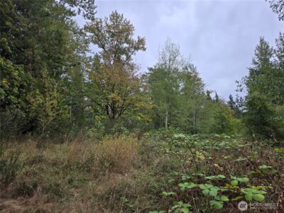 12628 208th Place NE, Woodinville, WA 98077 - Photo 28