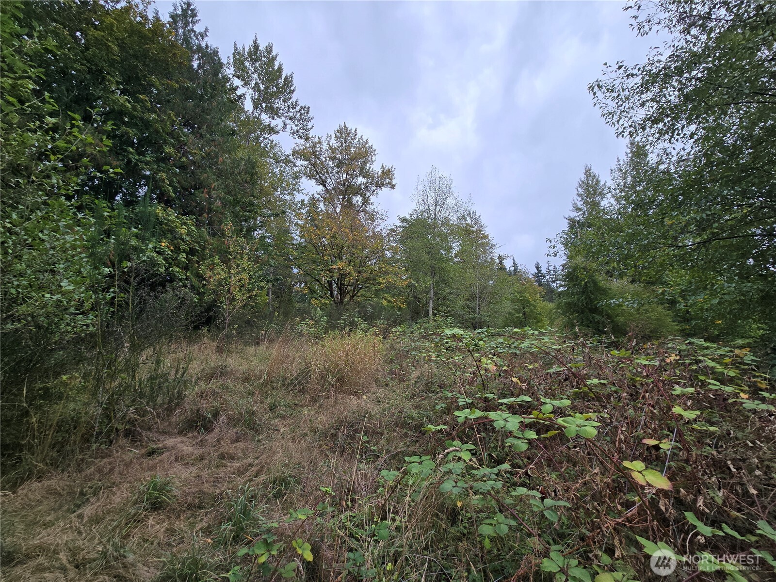 12628 208th Place NE, Woodinville, WA 98077