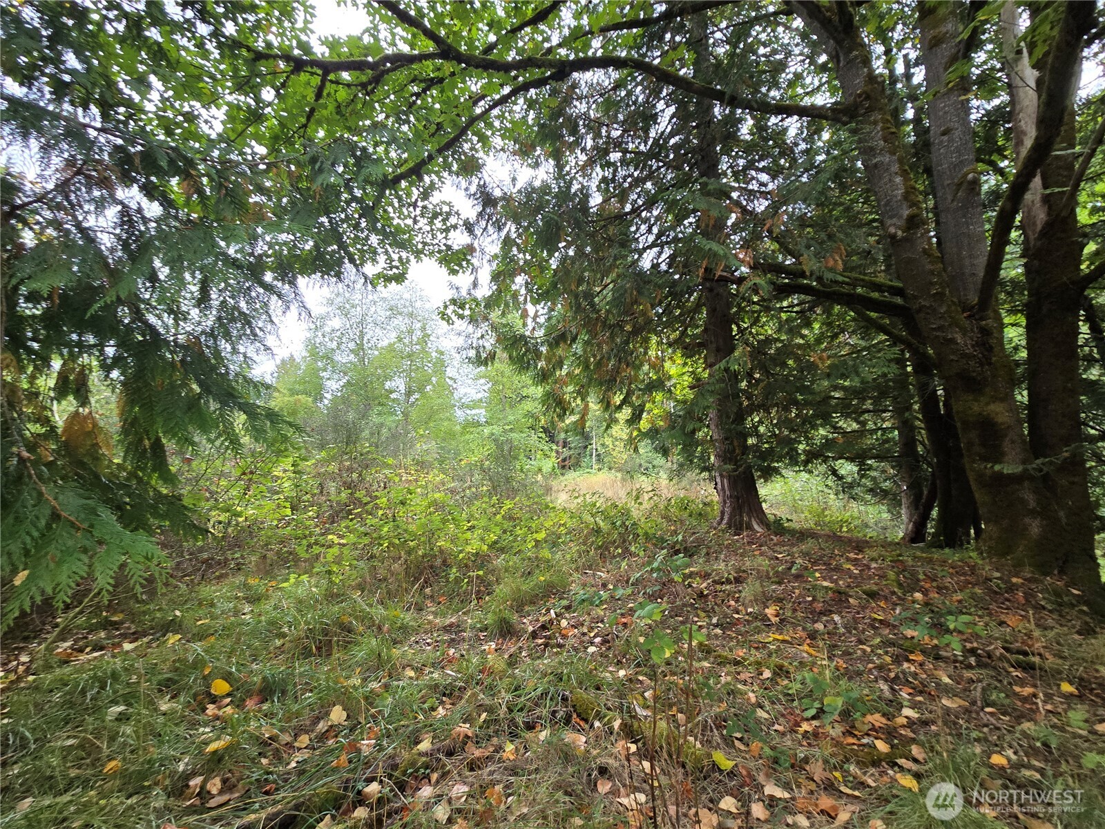 12628 208th Place NE, Woodinville, WA 98077