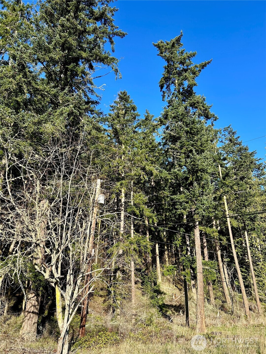 55 Vancouver Place , Port Townsend, WA 98368