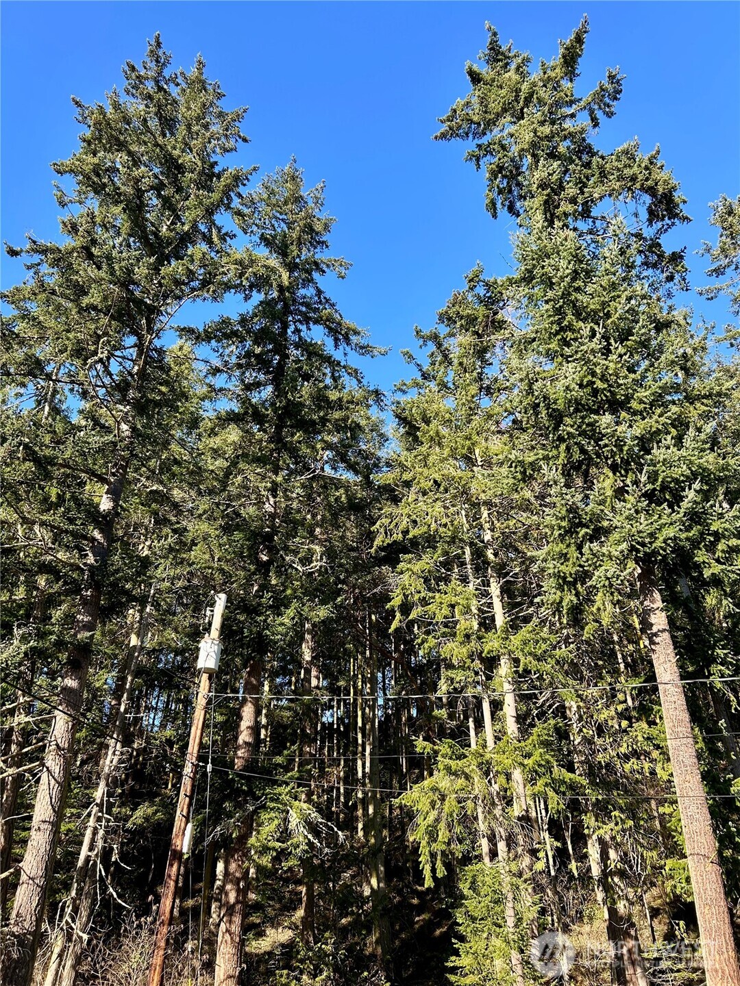 55 Vancouver Place , Port Townsend, WA 98368