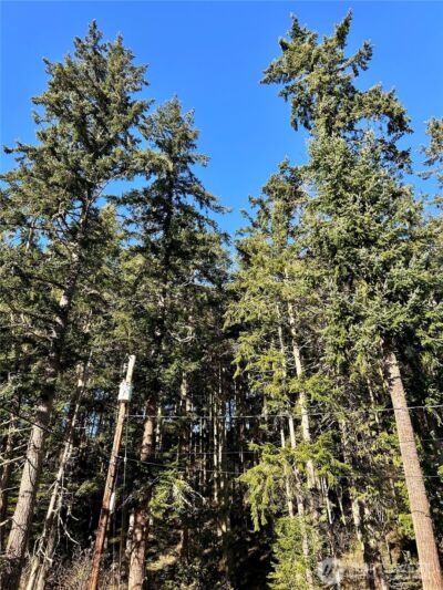 55 Vancouver Place , Port Townsend, WA 98368 - Photo 4