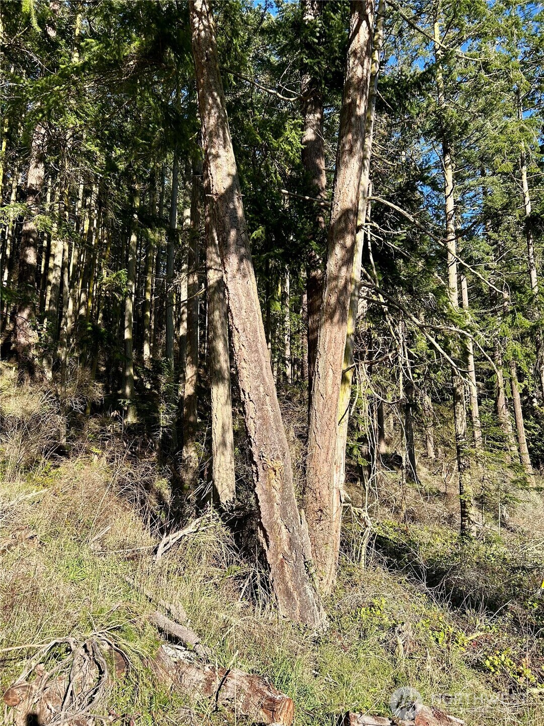 55 Vancouver Place , Port Townsend, WA 98368