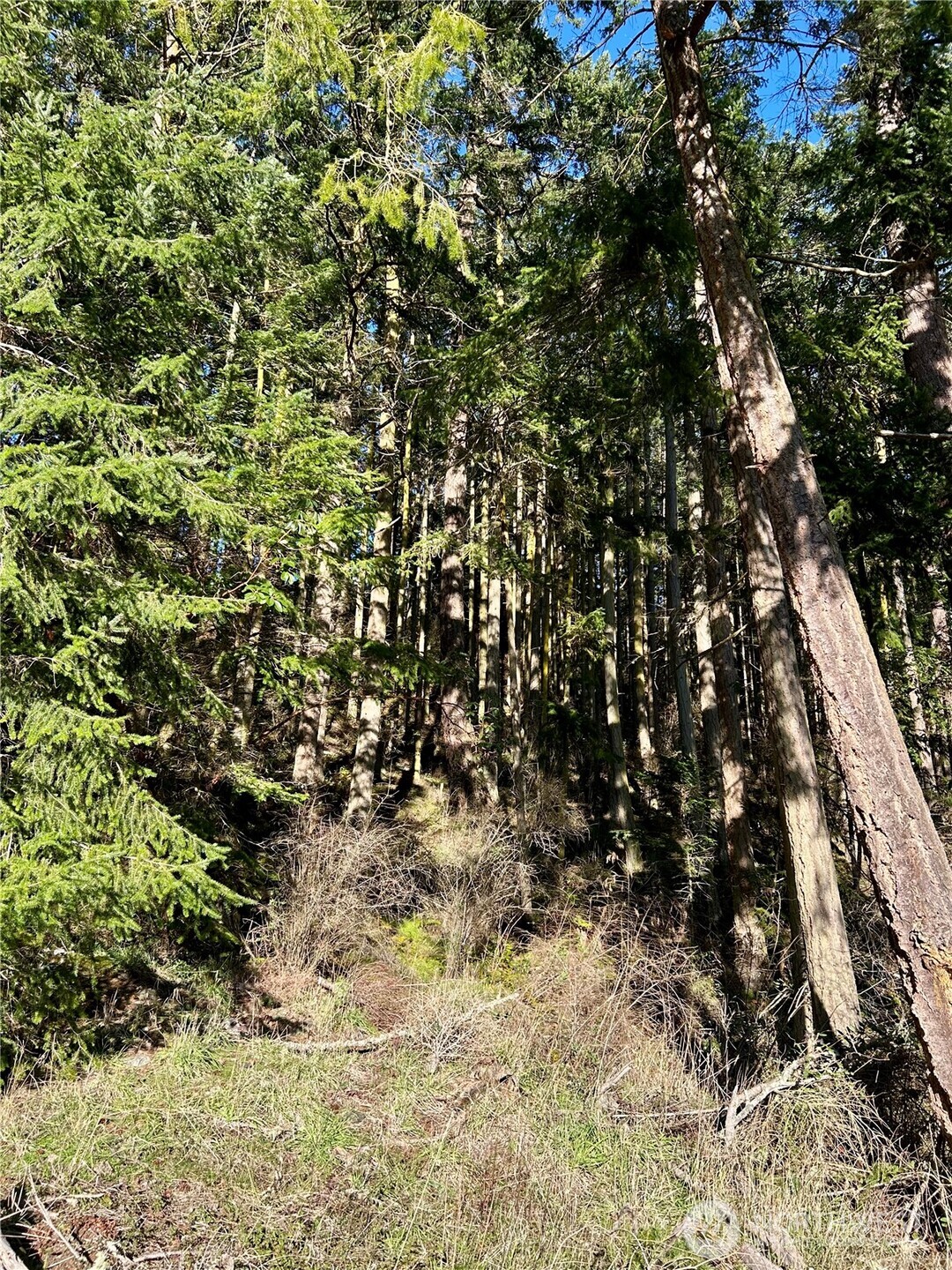 55 Vancouver Place , Port Townsend, WA 98368