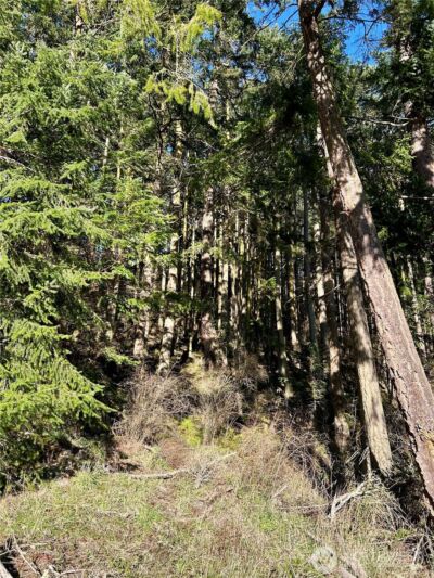 55 Vancouver Place , Port Townsend, WA 98368 - Photo 6