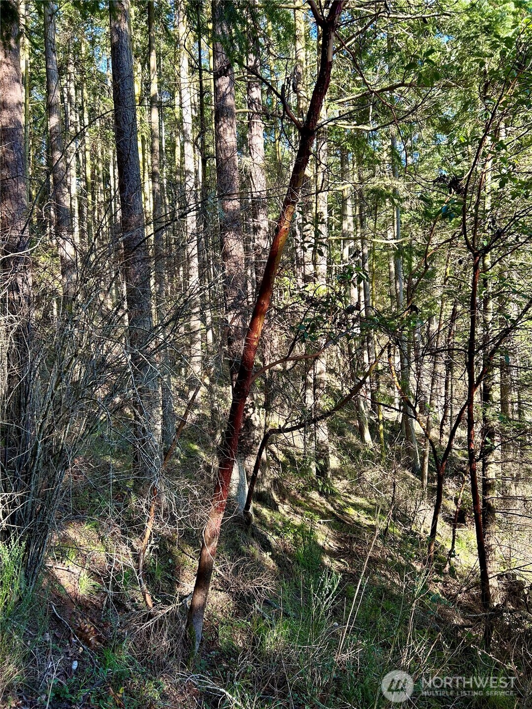 55 Vancouver Place , Port Townsend, WA 98368