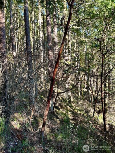 55 Vancouver Place , Port Townsend, WA 98368 - Photo 7