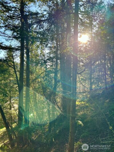 55 Vancouver Place , Port Townsend, WA 98368 - Photo 8