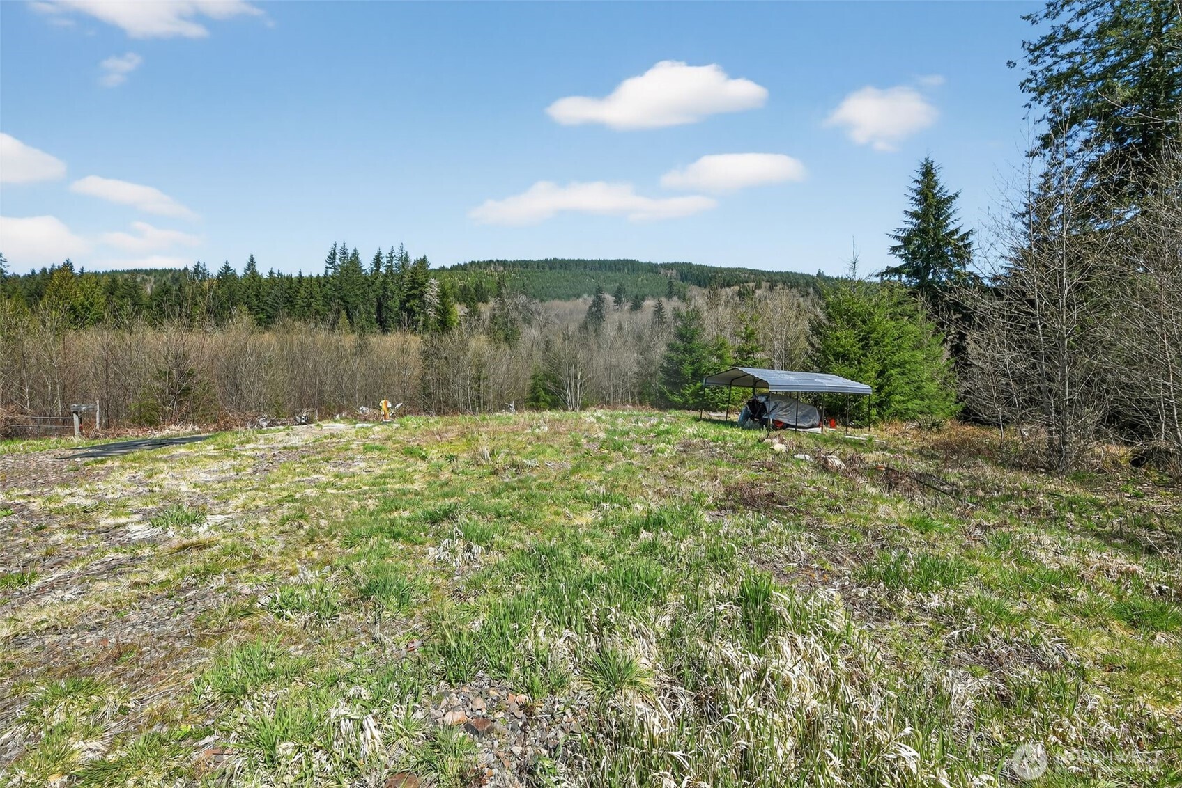 210 Bellicum Road , Morton, WA 98356