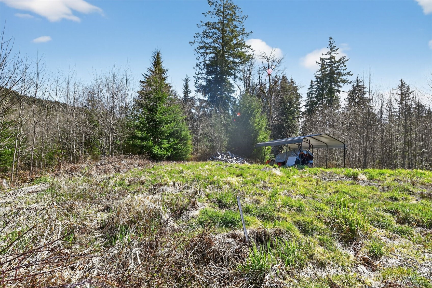 210 Bellicum Road , Morton, WA 98356