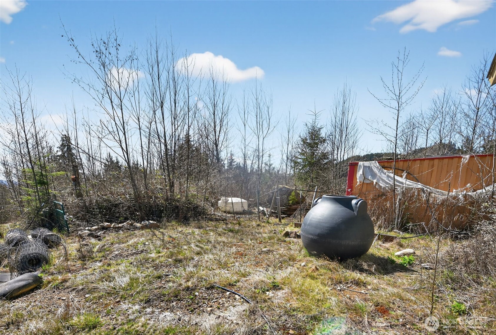 210 Bellicum Road , Morton, WA 98356