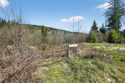 210 Bellicum Road , Morton, WA 98356 - Photo 20