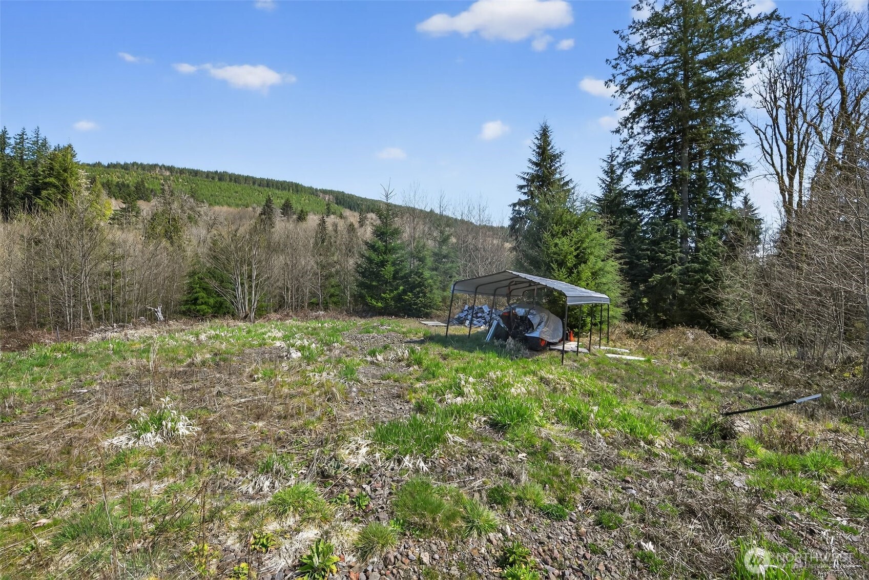 210 Bellicum Road , Morton, WA 98356