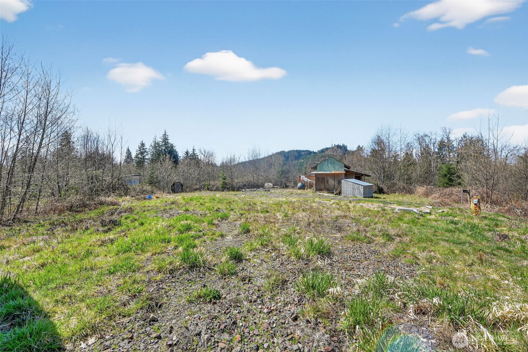 210 Bellicum Road , Morton, WA 98356