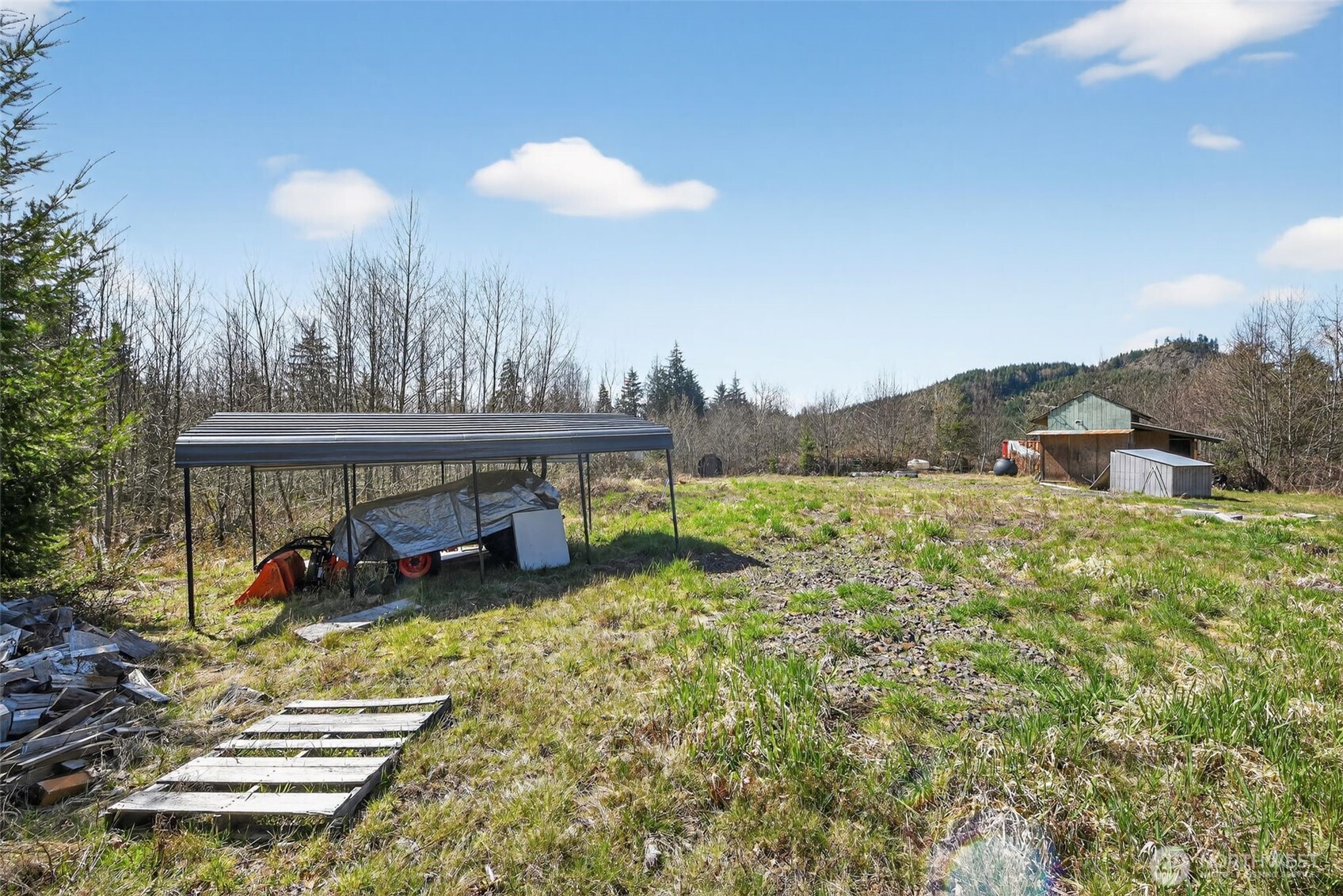 210 Bellicum Road , Morton, WA 98356