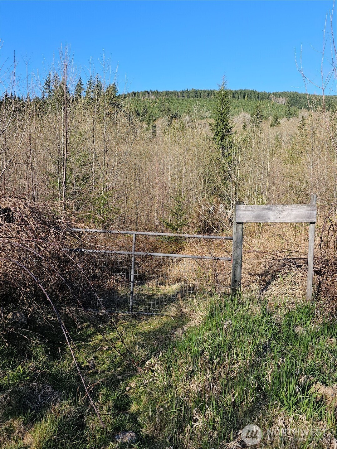 210 Bellicum Road , Morton, WA 98356