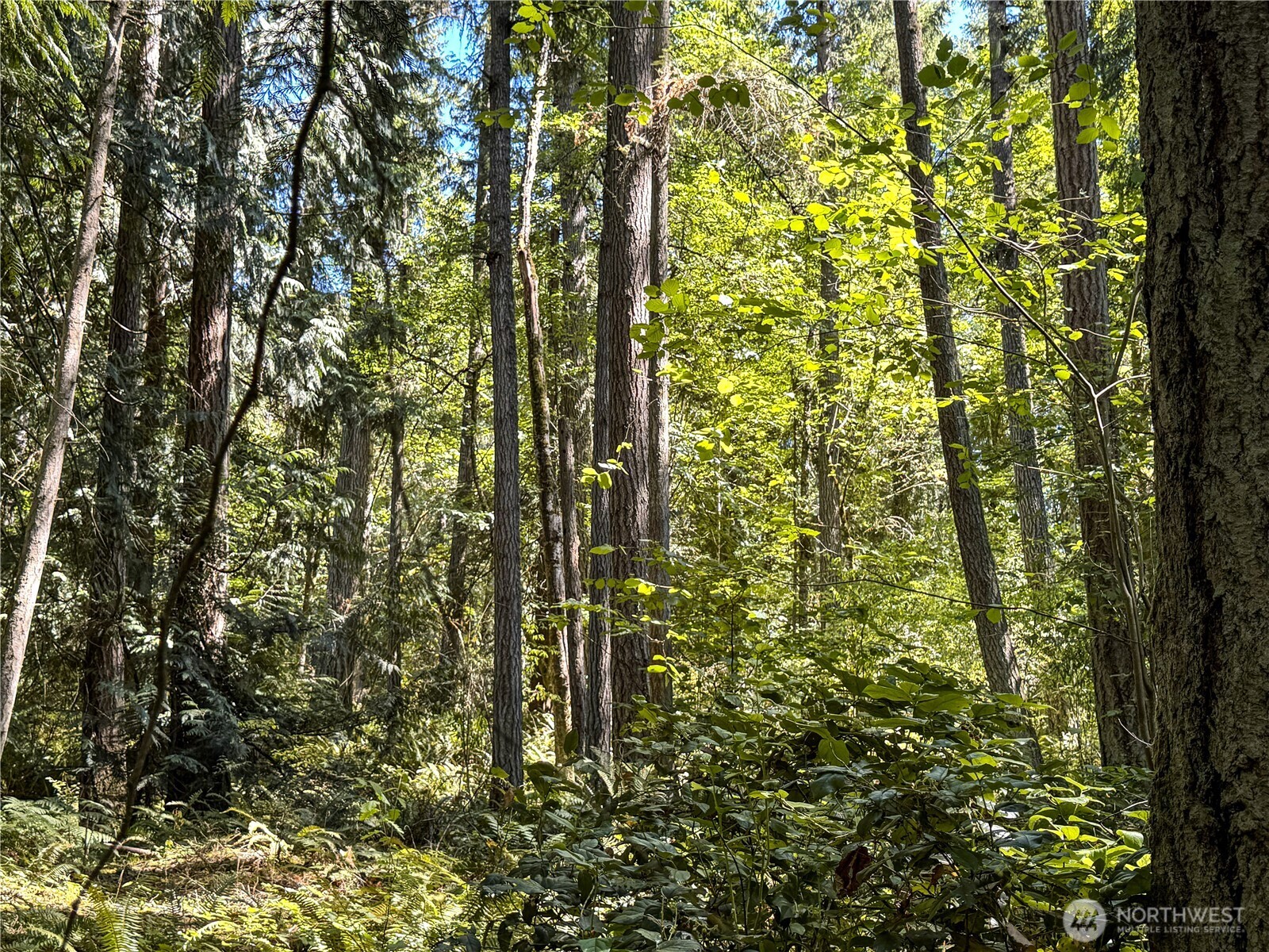 10 th Ave to Forest Rock Lane NE, Poulsbo, WA 98370