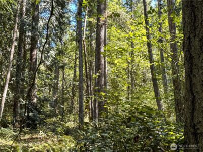 10 th Ave to Forest Rock Lane NE, Poulsbo, WA 98370 - Photo 6